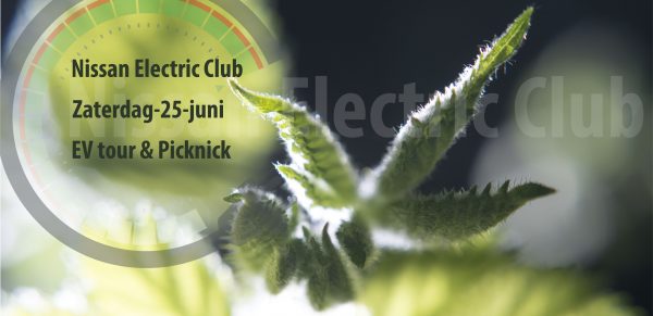 EV tour & Picknick uitje van de Nissan Electric Club zaterdag 25 juni